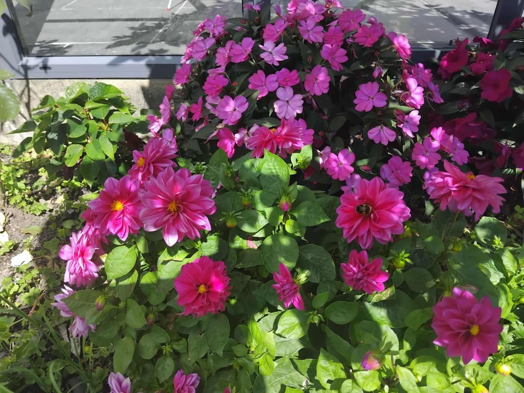 Homestay Llu Homes Westport
